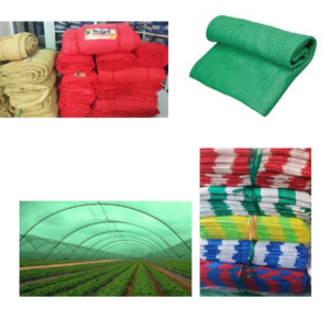 sriashvithatrader.com